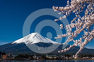 Mt. Fuji in the spring time with cherry blossoms at kawaguchiko Fujiyoshida, Japan. Mount Fuji is Japan tallest mountain and