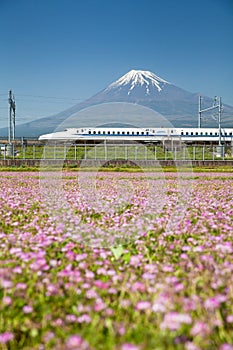 Mt Fuji and Tokaido Shinkansen