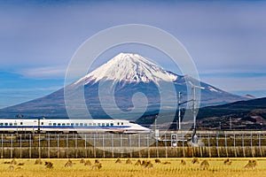 Mt. Fuji and Train