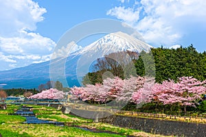 Mt. Fuji viewed from rural Shizuoka Prefecture in spring season