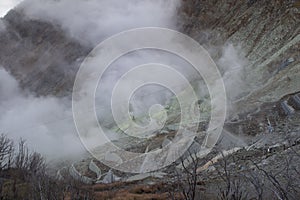 Mt Fuji Volcanic Area in Japan Dead Forest with Sulphur Clouds