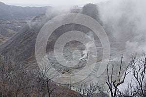 Mt Fuji Volcanic Area in Japan Dead Forest with Sulphur Clouds