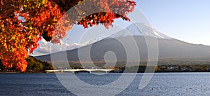 Mt. Fujiin Autumn photo