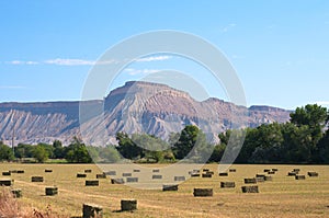 Mt. Garfield from Orchard Mesa