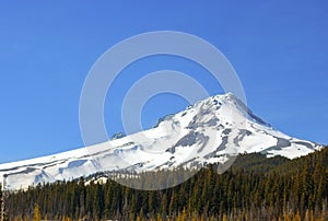 Mt. Hood