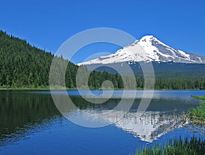 Mt. Hood above Trillium Lake photo