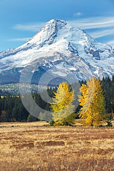 Mt Hood in fall from eastside