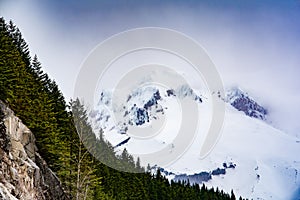 Mt Hood with forest foreground