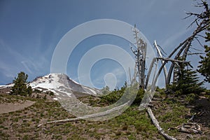 Mt. Hood and hiking trail