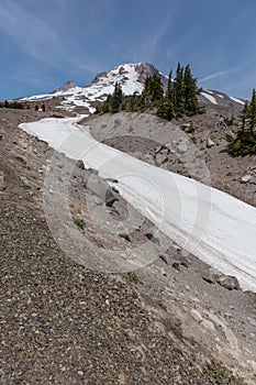 Mt. Hood and hiking trail