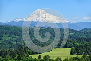 Mt. Hood from Jonsrud Point, Oregon Image 1