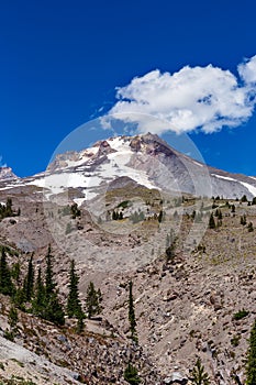 Mt. Hood, Oregon summer landscape