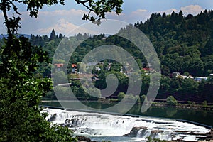 Mt Hood Over Willamette Falls