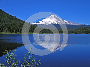 Mt. Hood reflection