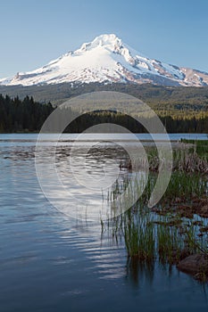 Mt Hood Reflection at Trillium Lake