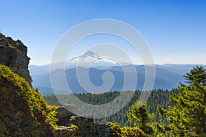 Mt. Hood Seen From Larch Mountain