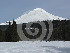 Mt Hood Snowcapped Peak Oregon USA Ski View