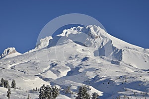 Mt. Hood, Timberline