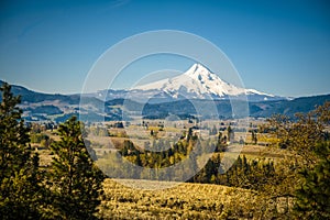 Mt Hood Vally and apple orchards