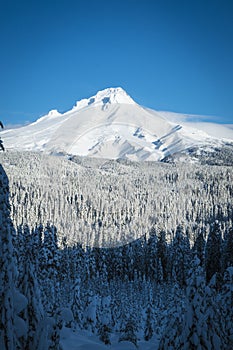 Mt. Hood, winter, Oregon