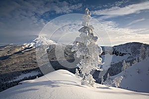 Mt Hood Winter Scene