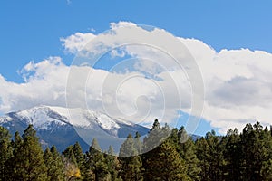 Mt. Humphreys in the winter with snow on top and a pine forest in the background, Flagstaff, Arizona.