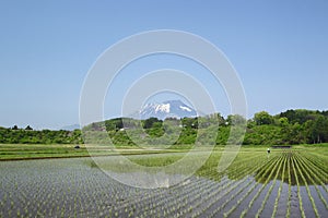 Mt.Iwate and pastoral landscape photo
