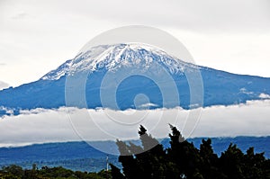 Mt Kilimanjaro - Moshi photo