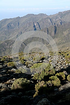 Mt Kilimanjaro, Tanzania, Africa