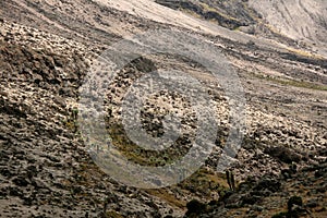 Mt Kilimanjaro, Tanzania, Africa