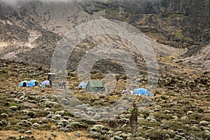 Mt Kilimanjaro, Tanzania, Africa