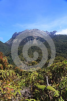 Mt. Kinabalu in Borneo, Malaysia