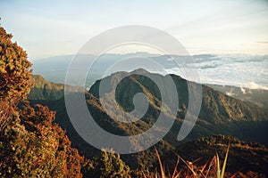 mt. kitanglad mountain range