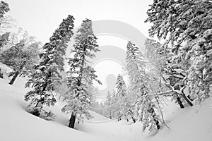 Mt. Kurodake  Hokkaido, Japan wintery hiking trail photo