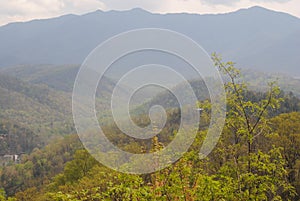 Mt. Leconte