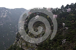 Mt. Lushan National Park, Jiangxi, China