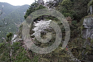 Mt. Lushan National Park, Jiangxi, China