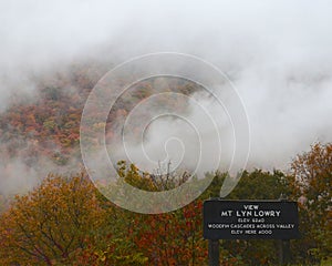 MT LYN LOWRY