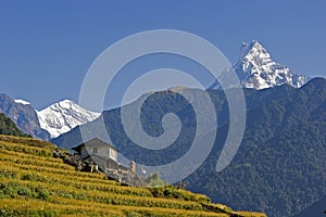 Mt. Machhapuchhare and village