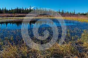 Mt. McKinley from lake near campsite