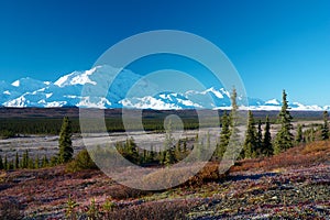 Mt. McKinley from tundra