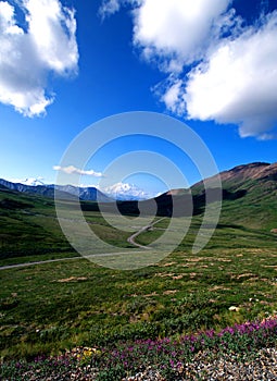 Mt Mckinley through a valley