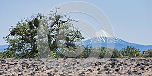 Mt McLoughlin Volcano in Southern Oregon photo