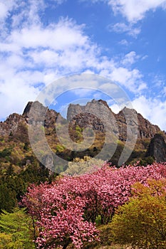 Mt. Myougi in spring
