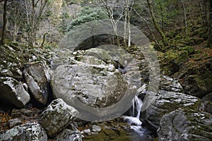 Mt. Nagasaka photo