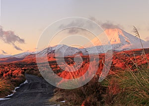 Mt. Ngauruhoe volcano at sunset, Tongariro National Park