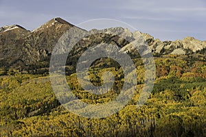 Mt. Owen and Ruby Peak with Changing Aspen