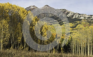 Mt. Owen and Ruby Peak with Changing Aspen