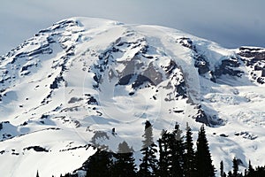 Mt. Rainer