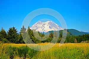 Mt. Rainier